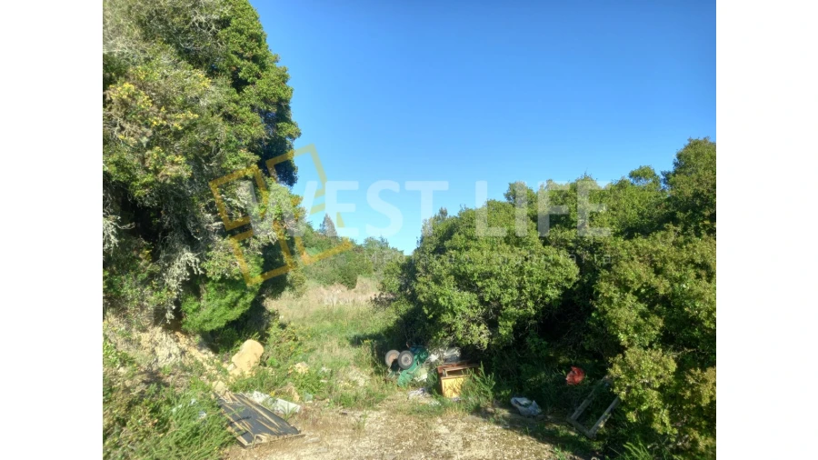 Terreno Agricola ou Rústico para Venda em Azueira e Sobral da Abelheira Foto 11