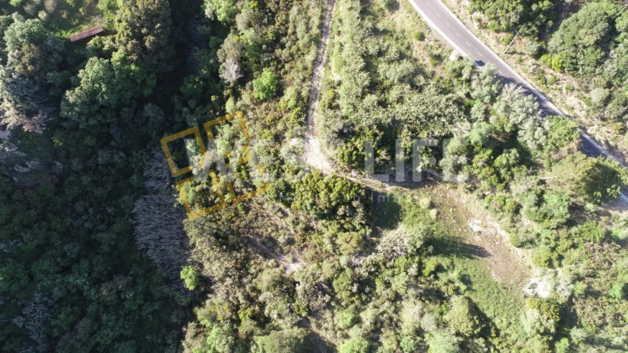 Terreno Agricola ou Rústico para Venda em Azueira e Sobral da Abelheira Foto 12