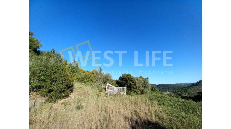 Terreno Agricola ou Rústico para Venda em Azueira e Sobral da Abelheira Foto 14