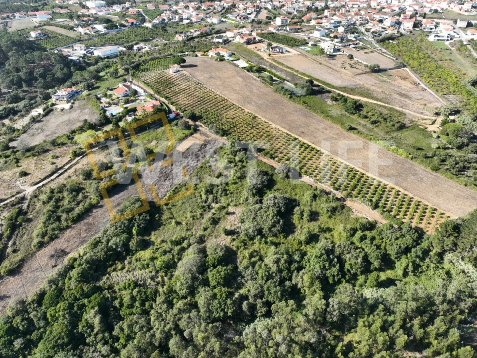 Terreno Agricola ou Rústico para Venda em Mafra Foto 4
