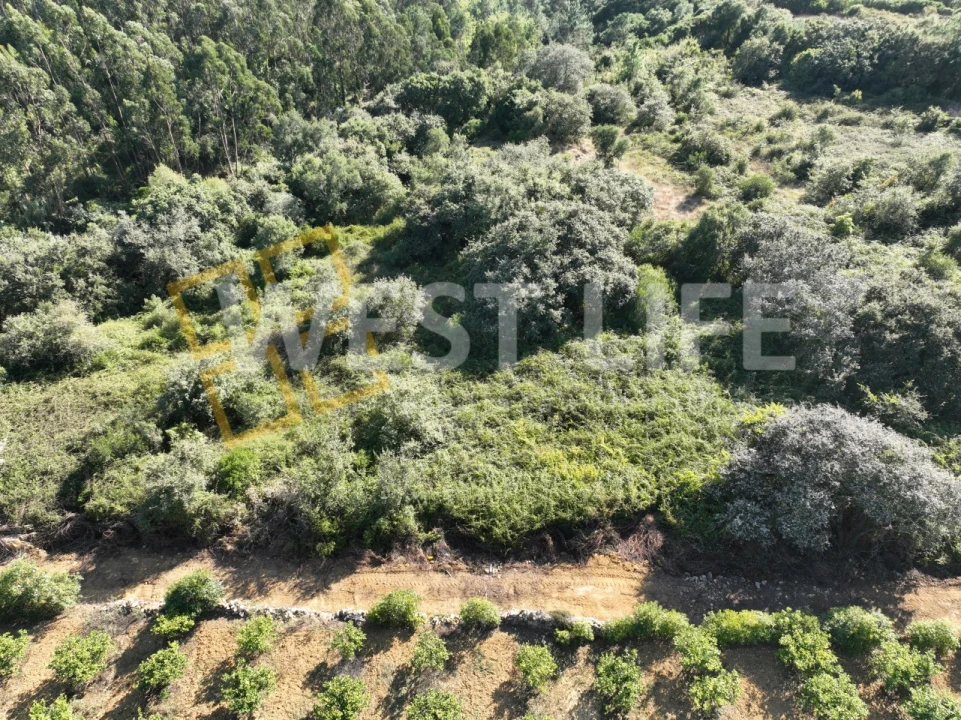 Terreno Agricola ou Rústico para Venda em Mafra Foto 6