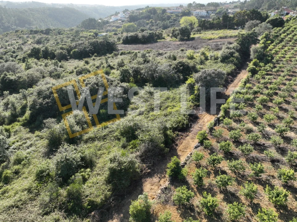 Terreno Agricola ou Rústico para Venda em Mafra Foto 8