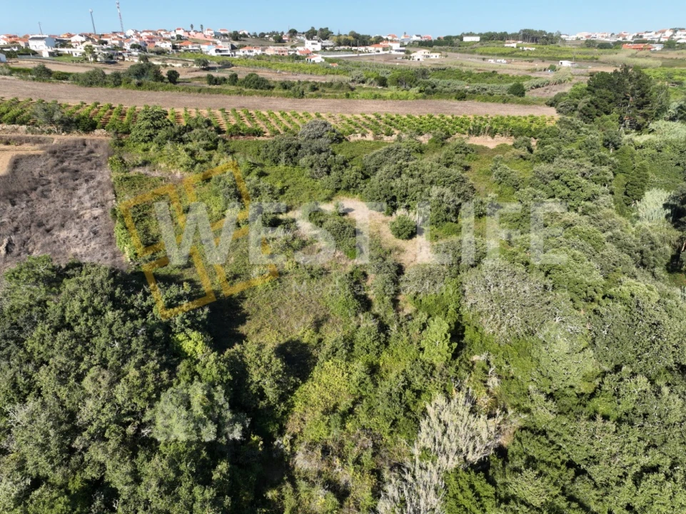 Terreno Agricola ou Rústico para Venda em Mafra Foto 13