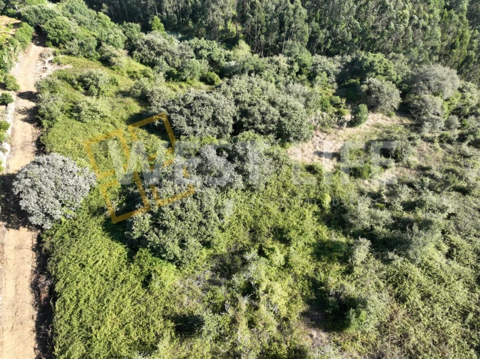 Terreno Agricola ou Rústico para Venda em Mafra Foto 16