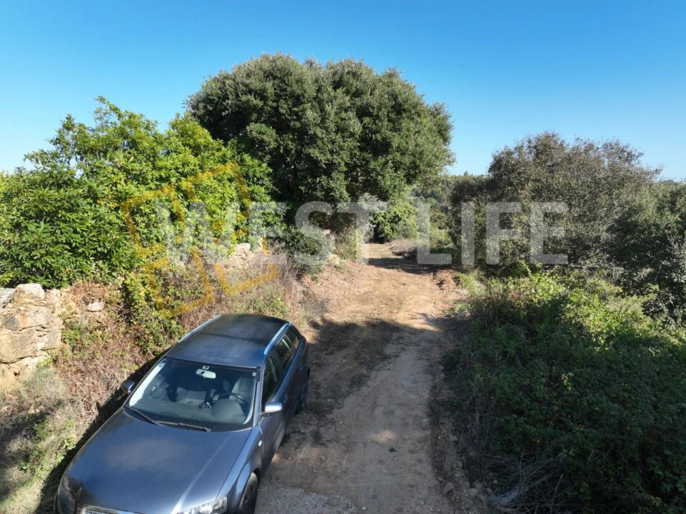 Terreno Agricola ou Rústico para Venda em Mafra Foto 18