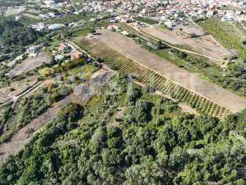 Terreno Agricola ou Rústico para Venda em Mafra