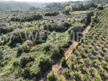 Terreno Agricola ou Rústico para Venda em Mafra