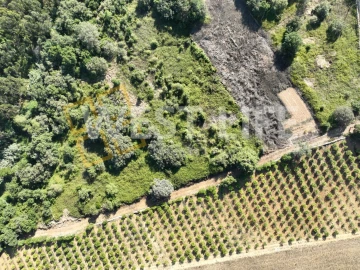 Terreno Agricola ou Rústico para Venda em Mafra