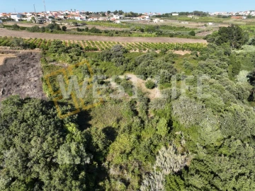 Terreno Agricola ou Rústico para Venda em Mafra