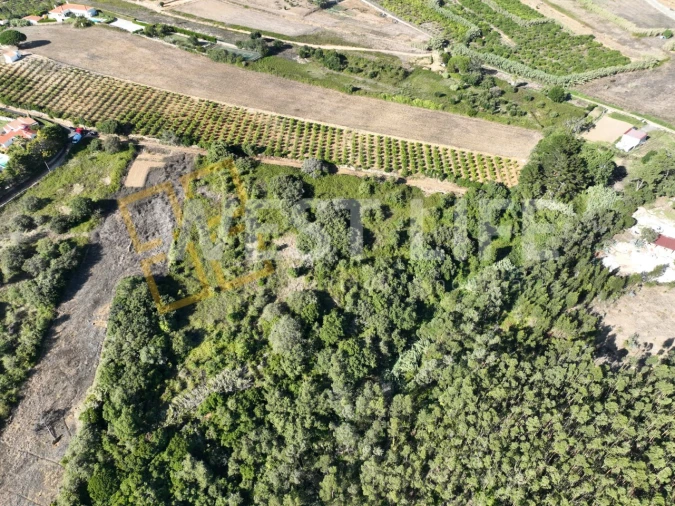 Terreno Agricola ou Rústico para Venda em Mafra Foto 2
