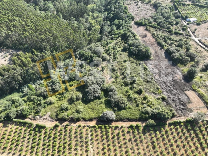 Terreno Agricola ou Rústico para Venda em Mafra