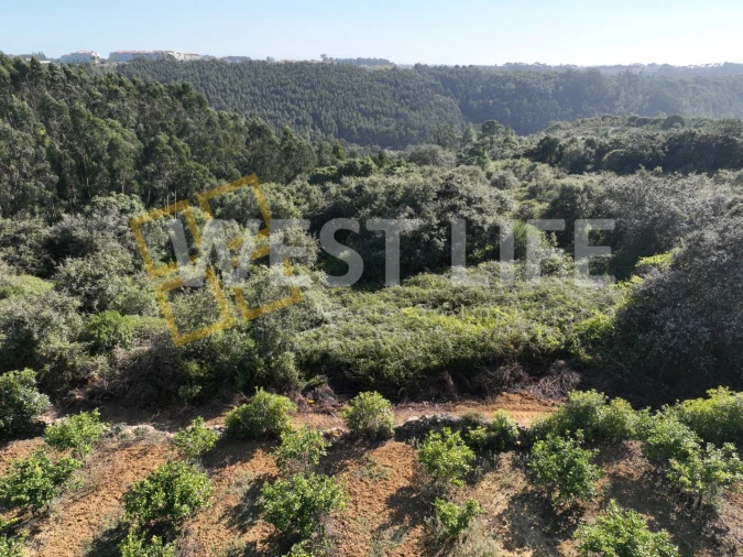 Terreno Agricola ou Rústico para Venda em Mafra Foto 5