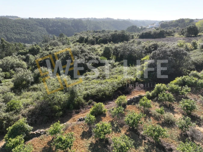 Terreno Agricola ou Rústico para Venda em Mafra Foto 7