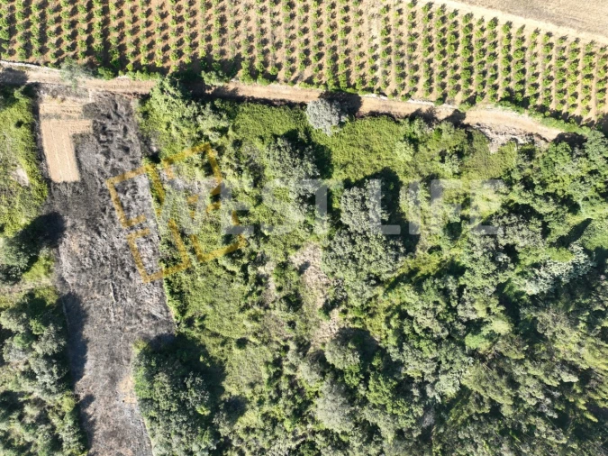 Terreno Agricola ou Rústico para Venda em Mafra Foto 9