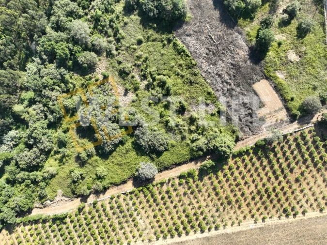 Terreno Agricola ou Rústico para Venda em Mafra Foto 10