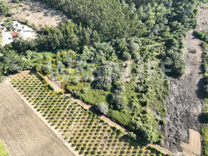 Terreno Agricola ou Rústico para Venda em Mafra Foto 11