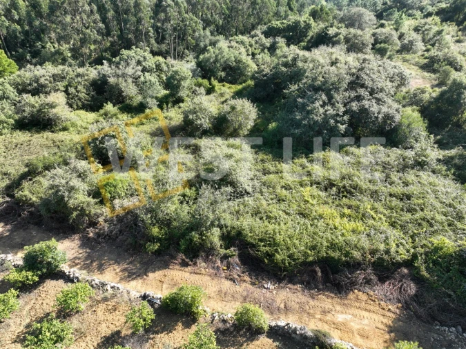 Terreno Agricola ou Rústico para Venda em Mafra Foto 12