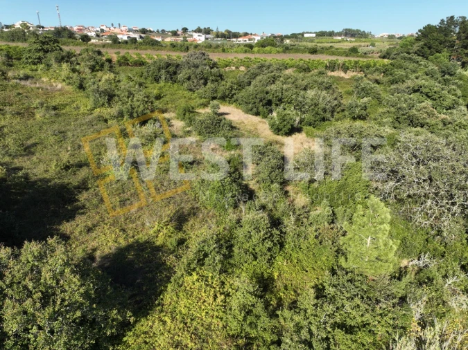 Terreno Agricola ou Rústico para Venda em Mafra Foto 14