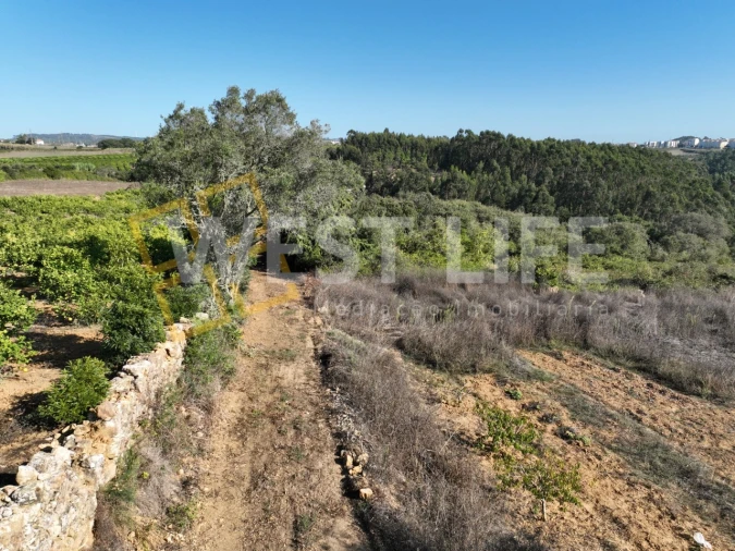 Terreno Agricola ou Rústico para Venda em Mafra Foto 15