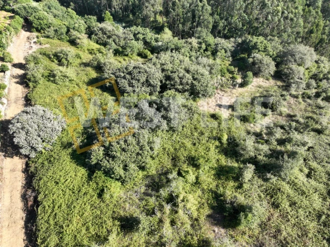 Terreno Agricola ou Rústico para Venda em Mafra Foto 16