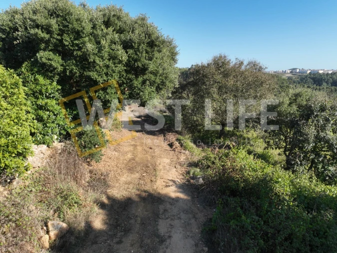 Terreno Agricola ou Rústico para Venda em Mafra Foto 17