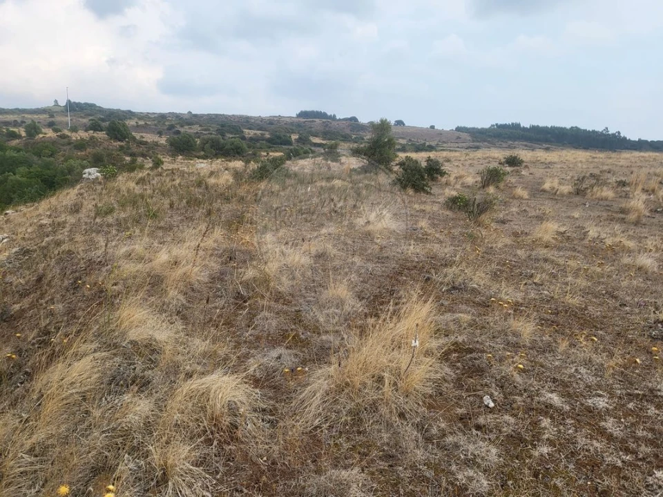 Terreno para Venda em Loures Foto 4
