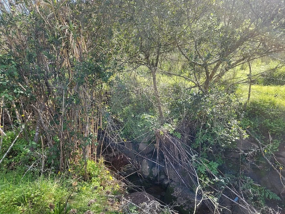 Terreno para Venda em Loures Foto 12