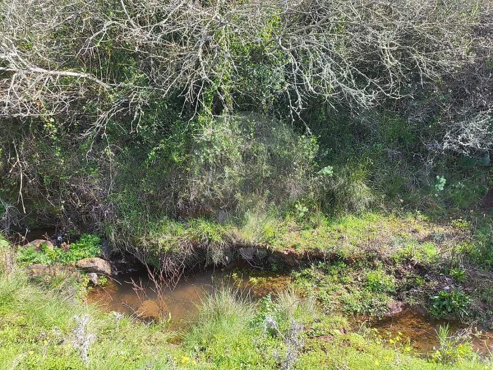 Terreno para Venda em Loures Foto 9