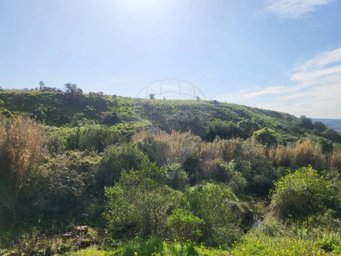 Terreno para Venda em Loures Foto 11