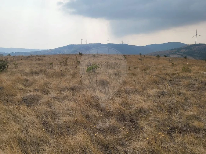 Terreno para Venda em Loures Foto 6