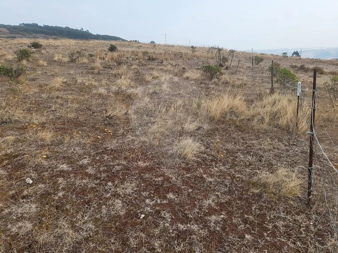 Terreno para Venda em Loures Foto 5