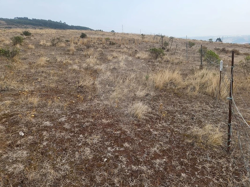 Terreno para Venda em Loures Foto 5
