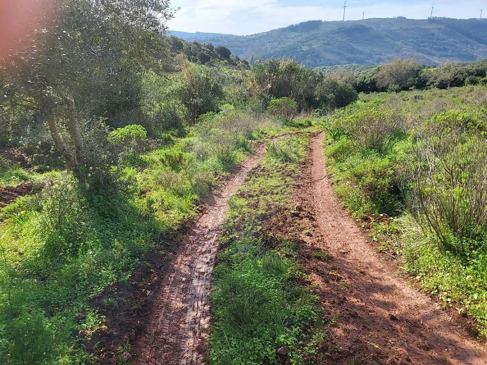 Terreno para Venda em Loures Foto 8