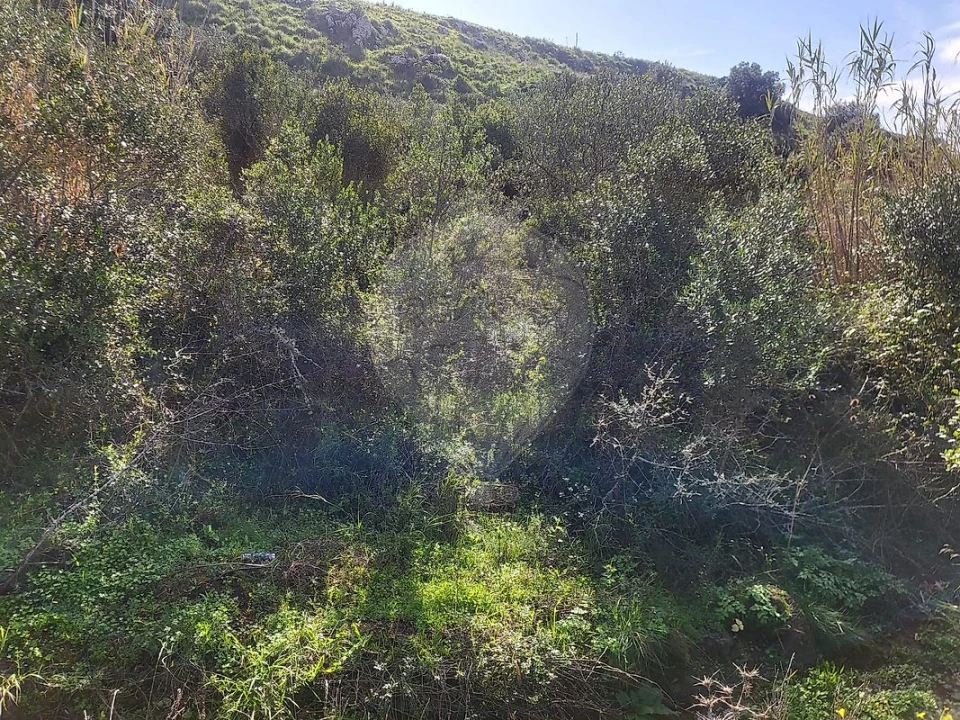 Terreno para Venda em Loures Foto 13