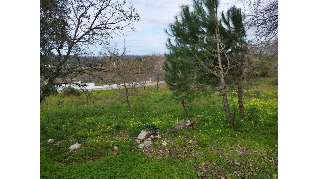 Terreno para Venda em Arrabal Foto 12