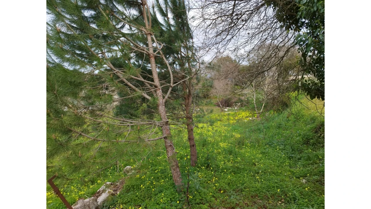 Terreno para Venda em Arrabal Foto 15