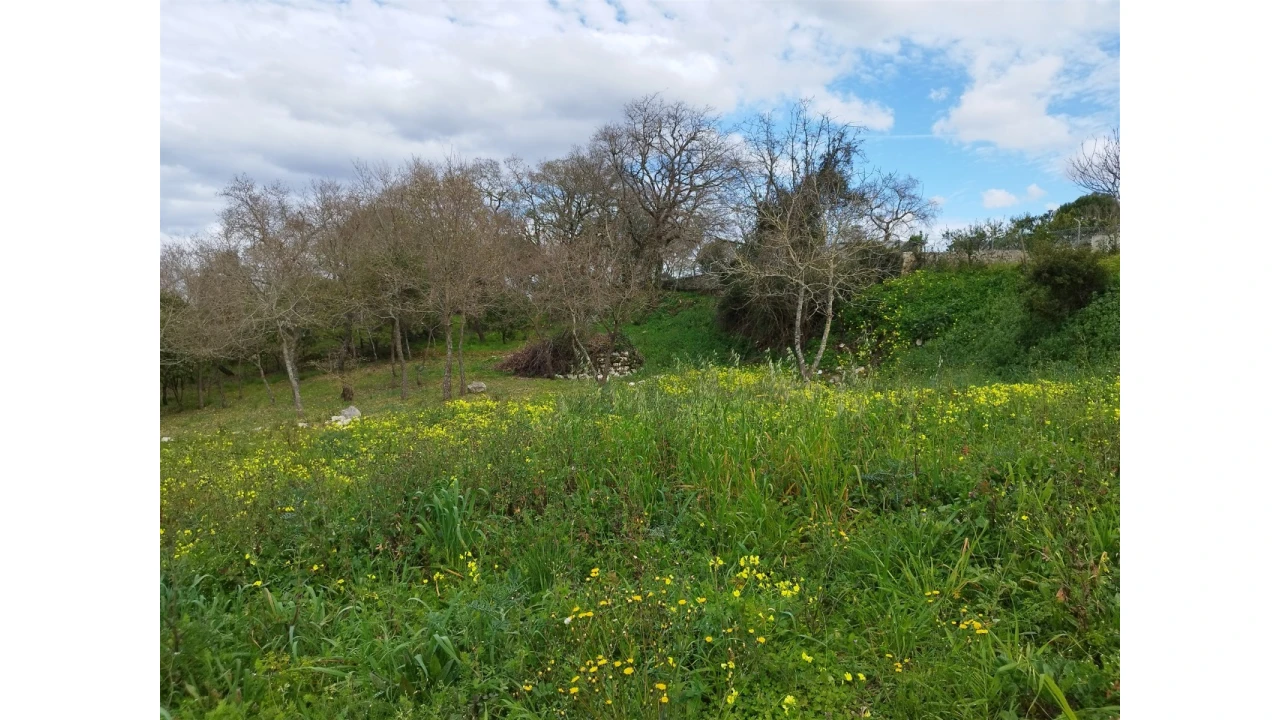 Terreno para Venda em Arrabal Foto 16
