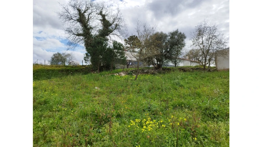 Terreno para Venda em Arrabal Foto 3