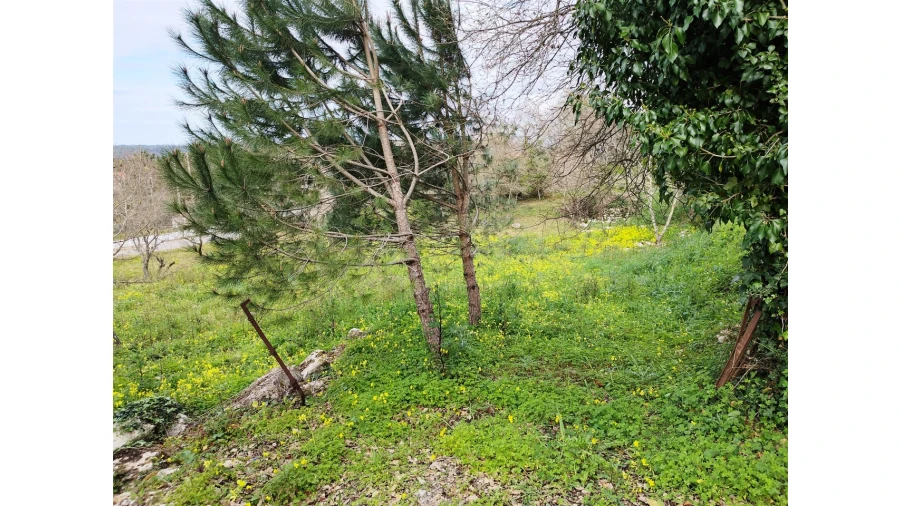 Terreno para Venda em Arrabal Foto 5