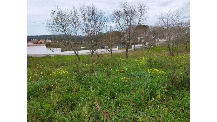 Terreno para Venda em Arrabal Foto 8