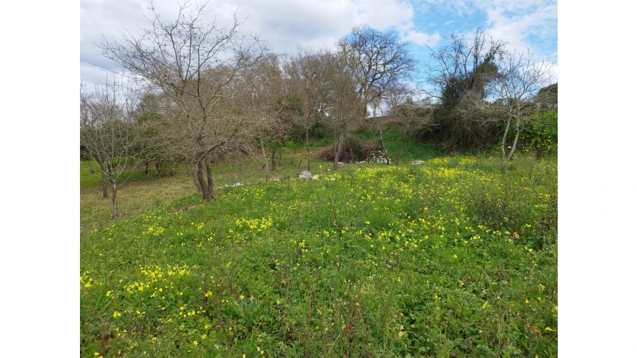 Terreno para Venda em Arrabal Foto 9