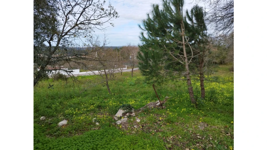 Terreno para Venda em Arrabal Foto 12