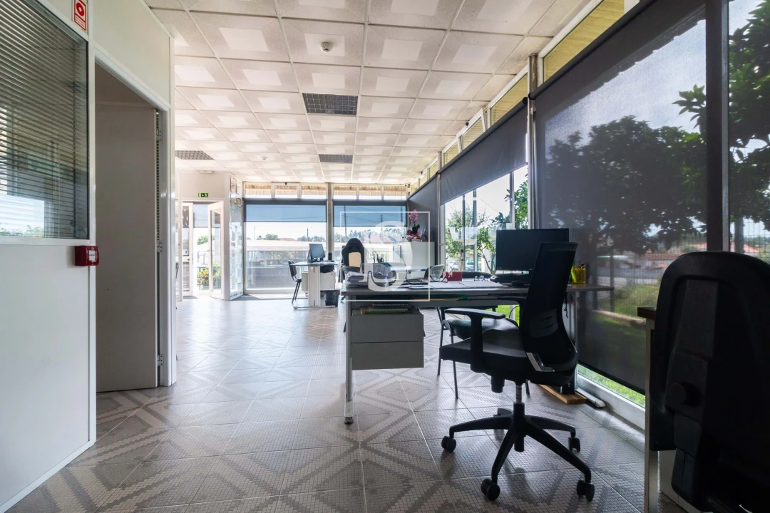 Negócio para Venda em Macinhata do Vouga Foto 7