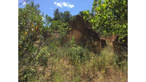 Terreno para Venda em São Bartolomeu de Messines