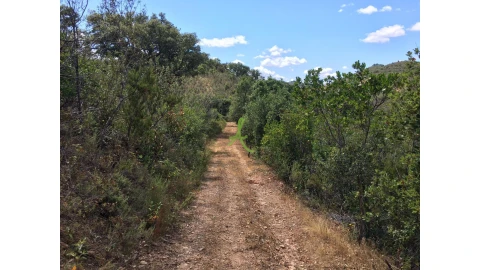 Terreno para Venda em São Bartolomeu de Messines