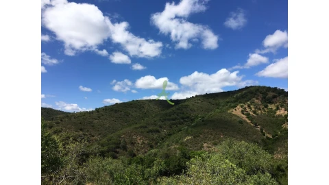 Terreno para Venda em São Bartolomeu de Messines