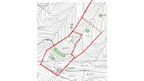 Terreno para Venda em São Bartolomeu de Messines