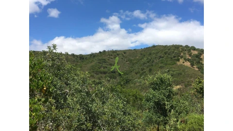 Terreno para Venda em São Bartolomeu de Messines