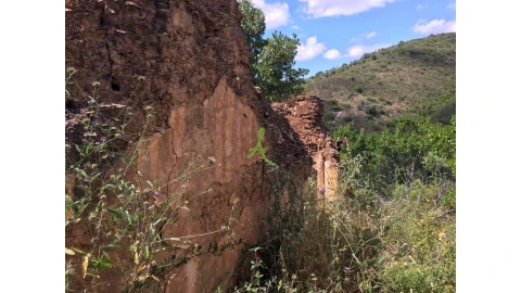 Terreno para Venda em São Bartolomeu de Messines