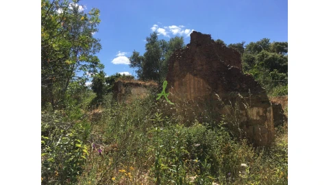 Terreno para Venda em São Bartolomeu de Messines